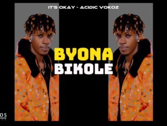 Acidic Vokoz It's Okay Mp3 Download