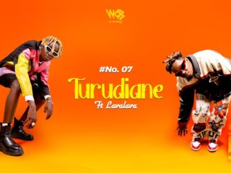 D Voice Turudiane Mp3 Download