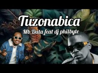 MB Data Tuzonabica Mp3 Download