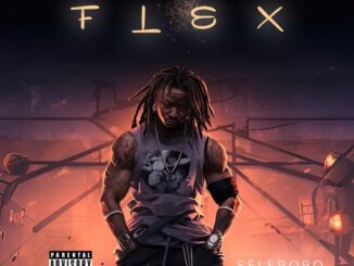 Selebobo Flex Mp3 Download