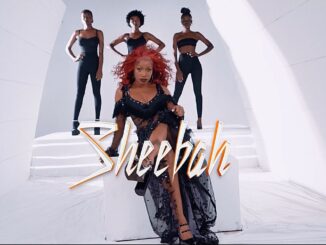 Sheebah Wakikuba Mp3 Download