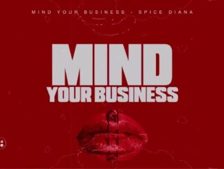 Spice Diana Mind Your Business Mp3 Download