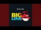 Beenie Gunter Big Love Mp3 Download