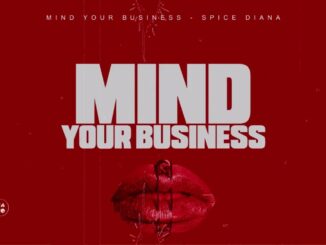 Spice Diana Mind Your Business Mp3 Download